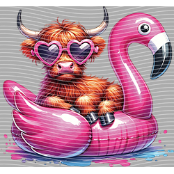 Cow-NIU 2404